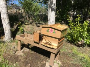 Warre hive and package