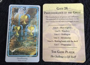 Gate 28 3 of cups