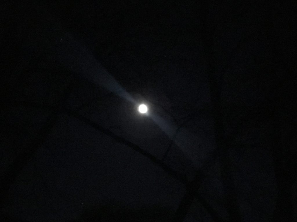 Aries Moon ~ 28-30 May 2019