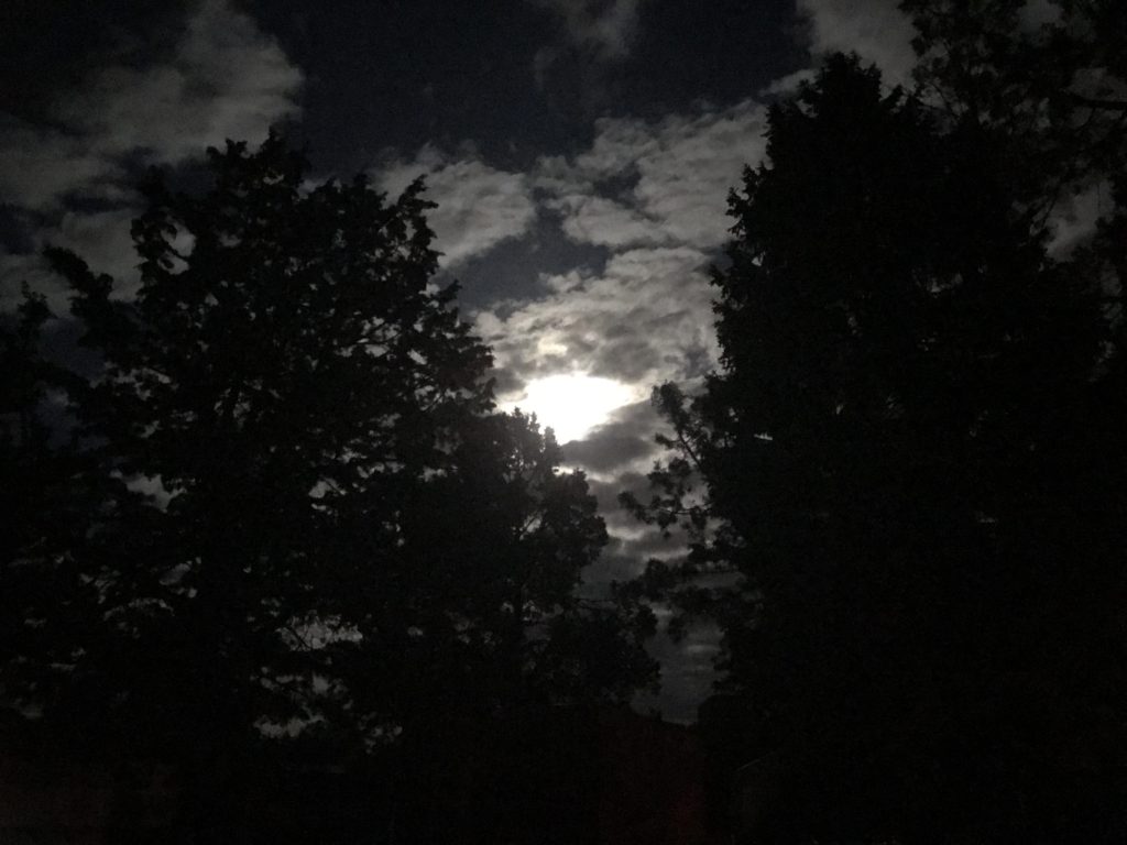 Aries Moon ~ 24-26 June 2019