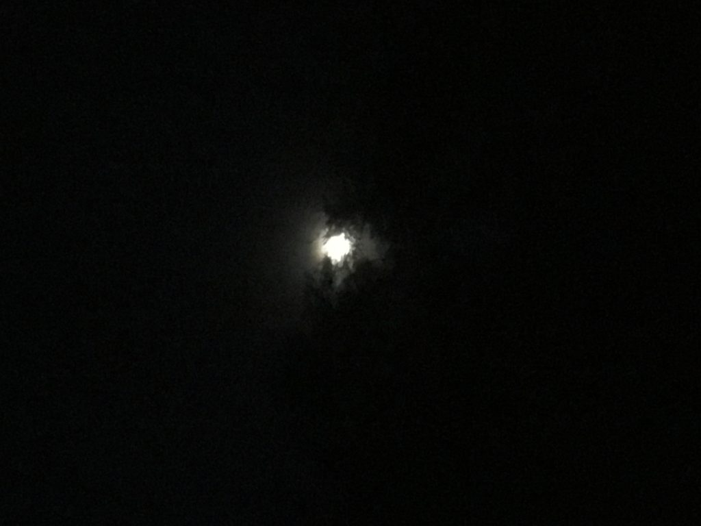 Scorpio Moon ~ 12-15 June 2019