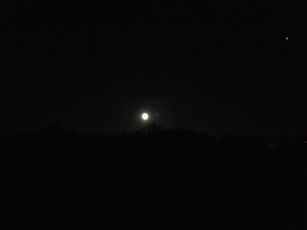 Aquarius Moon ~ 19-22 June 2019