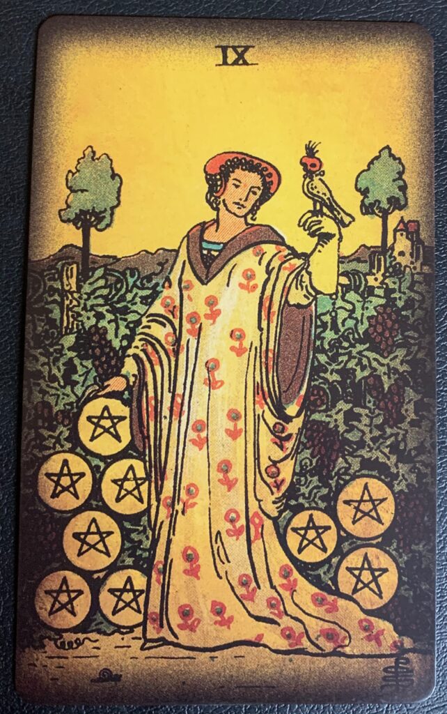 The 9 of Pentacles - showing a woman of means walking in her garden with grape vines behind her. Her hand rests on a large coin while she looks at a hooded hawk sitting on her gloved left hand.