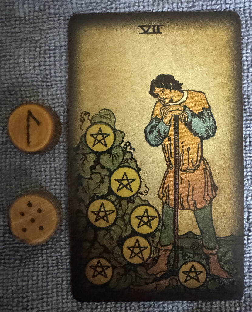 Runes: Laguz, Amisio
Card: 7 of Pentacles
