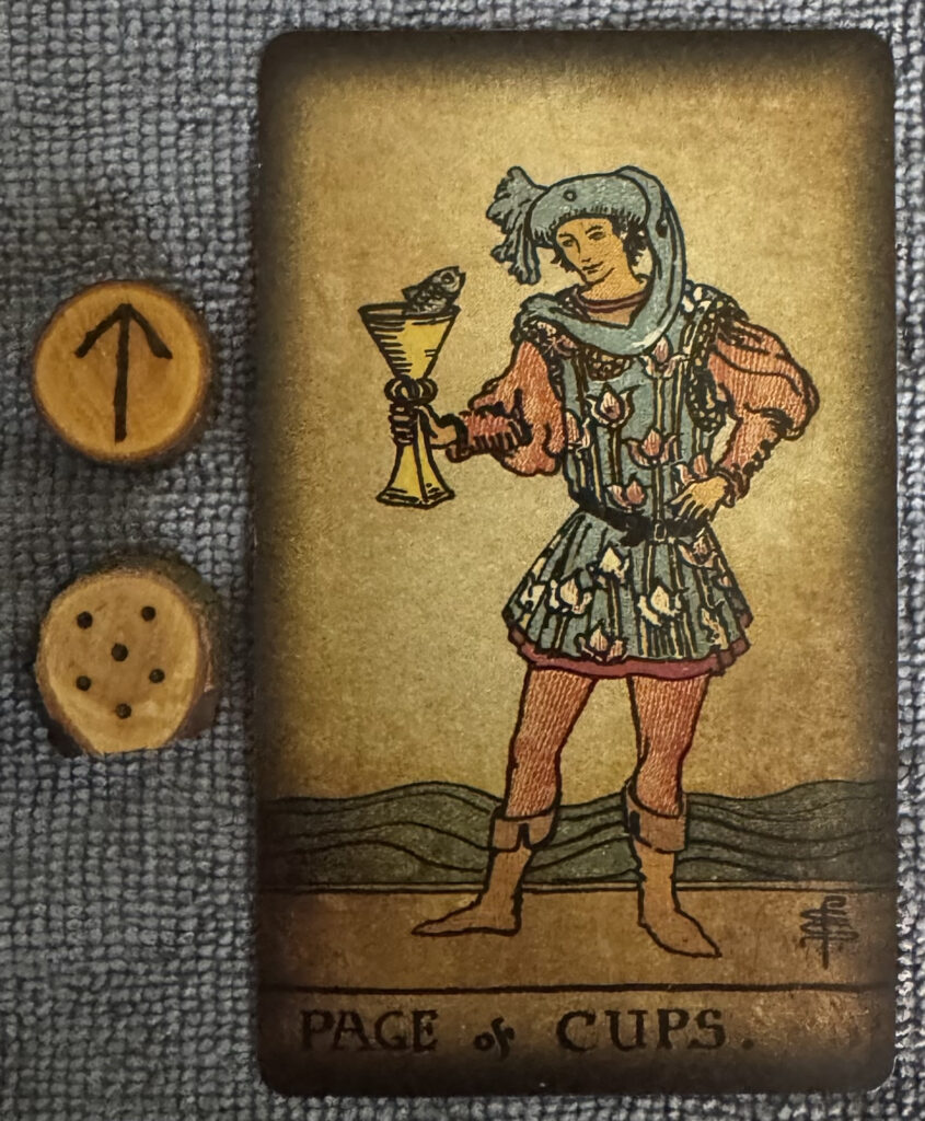 Runes: Tiwaz, Acquisitio
Card, Page of Cups