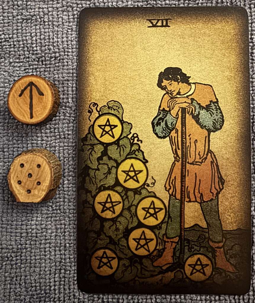 Runes: Tiwaz, Acquisitio
Card: 7 of Pentacles
