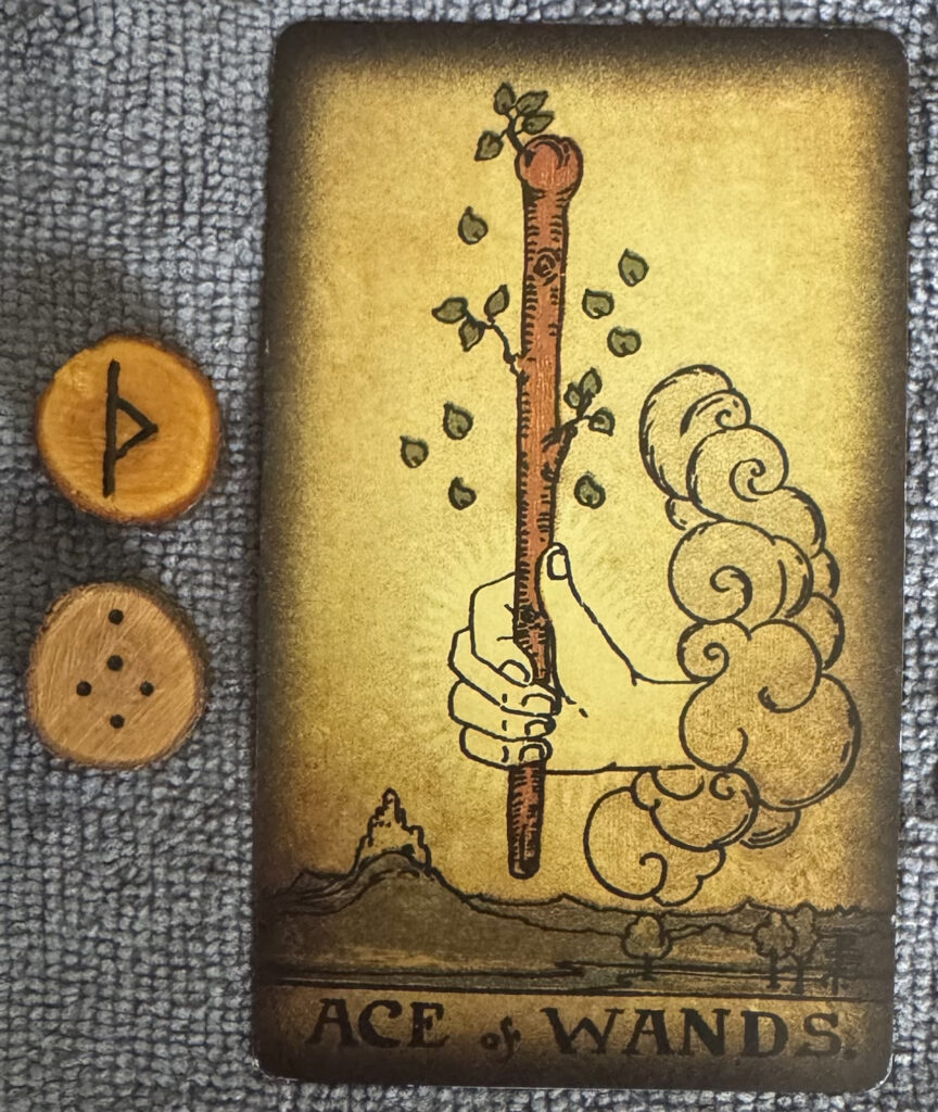 Runes: Thurisaz, Puer
Card: Ace of Wands